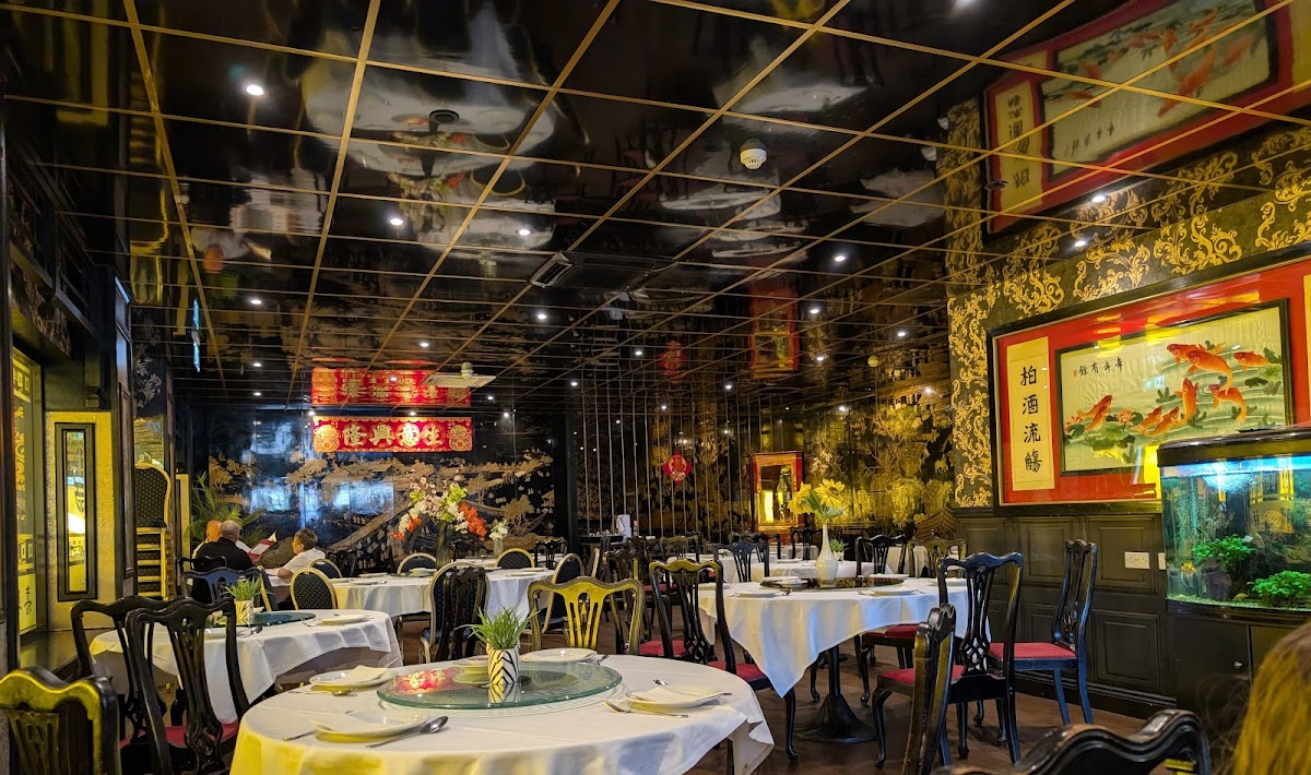 The Oriental Paradise